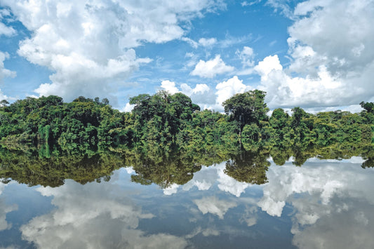 Dense rainforest with a white cloud-spotted blue sky above. Below, the sky is reflected in a vast expanse of water.